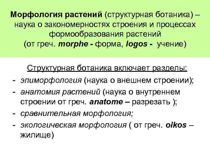 Морфология растений (структурная ботаника) – наука о закономерностях строения и процессах формообразования растений (от