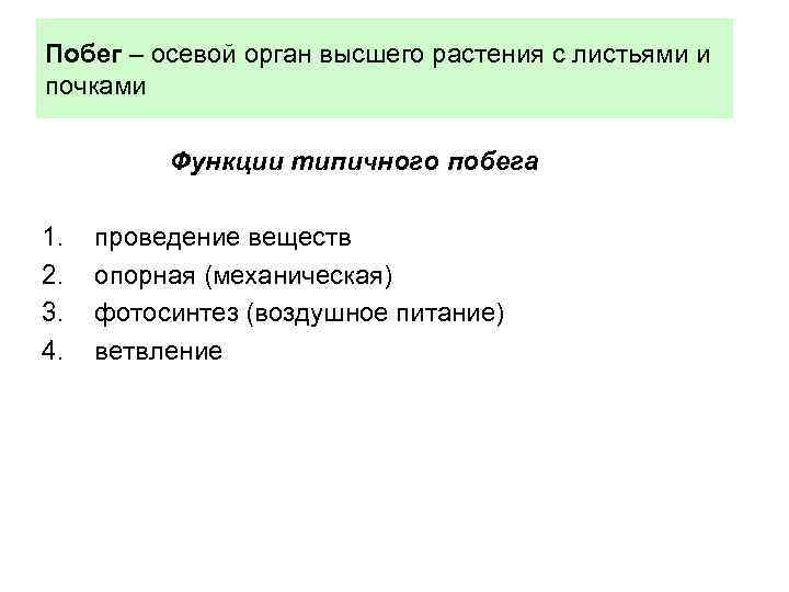 Побег – осевой орган высшего растения с листьями и почками Функции типичного побега 1.