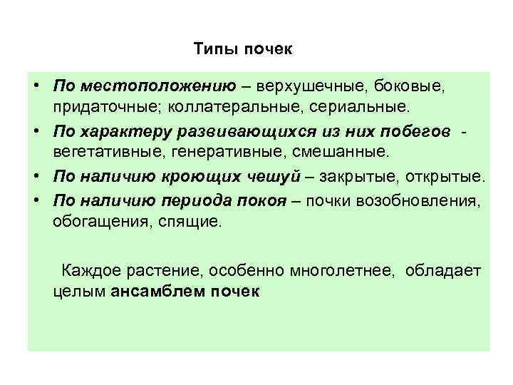 Классификация почек. Классификация растительных почек. Типы почек растений открытые и закрытые. Коллатеральные почки у растений.