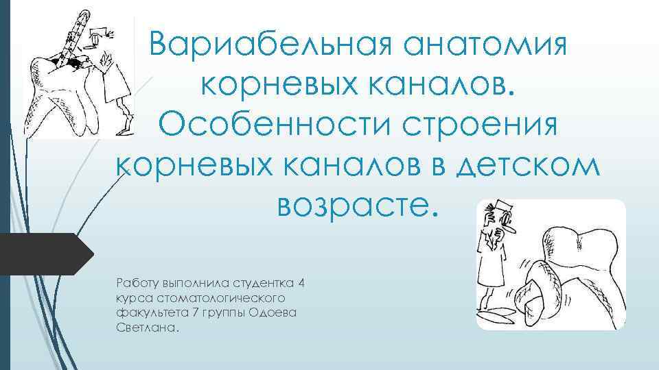 Вариабельная анатомия корневых каналов. Особенности строения корневых каналов в детском возрасте. Работу выполнила студентка