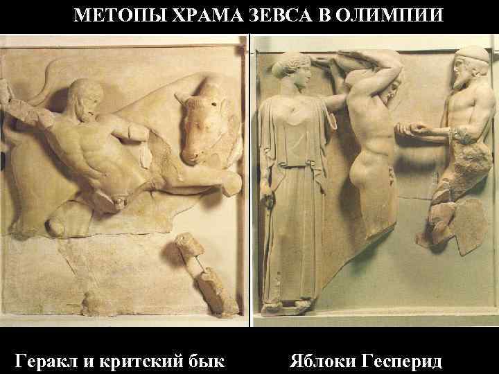 МЕТОПЫ ХРАМА ЗЕВСА В ОЛИМПИИ Геракл и критский бык Яблоки Гесперид 