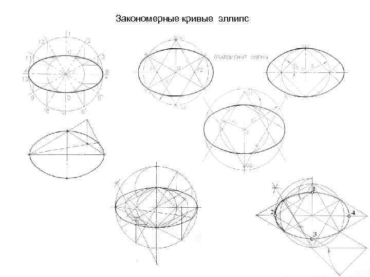 Закономерные кривые эллипс 