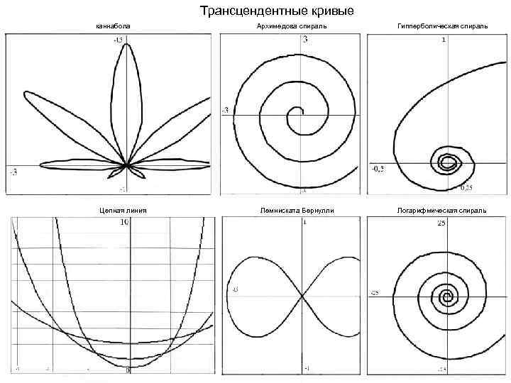 Трансцендентные кривые каннабола Цепная линия Архимедова спираль Лемниската Бернулли Гипперболическая спираль Логарифмическая спираль 