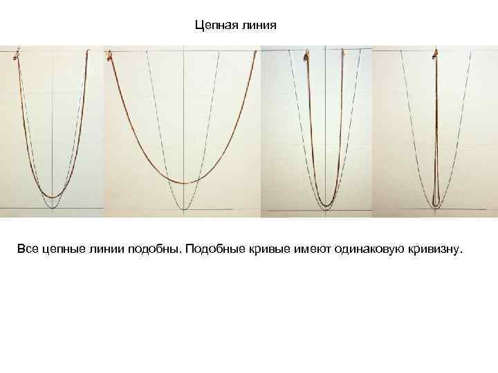 Цепная линия Все цепные линии подобны. Подобные кривые имеют одинаковую кривизну. 