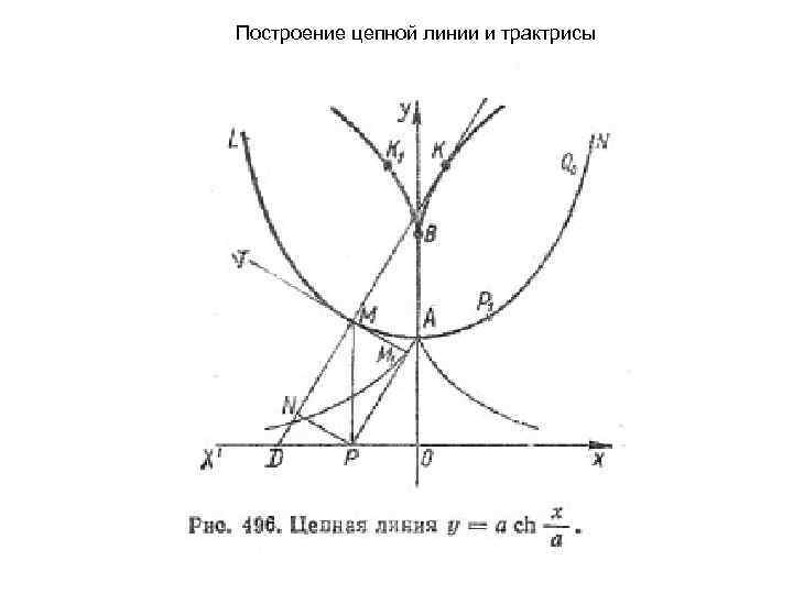Построение цепной линии и трактрисы 