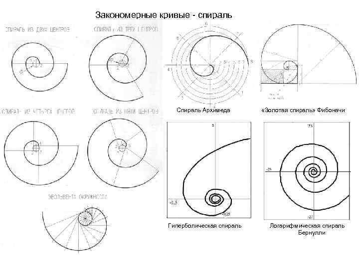 Двойная спираль из туи схема