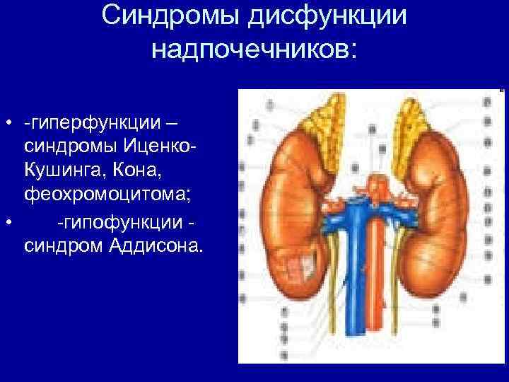 Сколько стоят надпочечники. Дисфункция надпочечников. Нарушение функции надпочечников. Синдром гиперфункции надпочечников. Гиперфункция коры надпочечников.