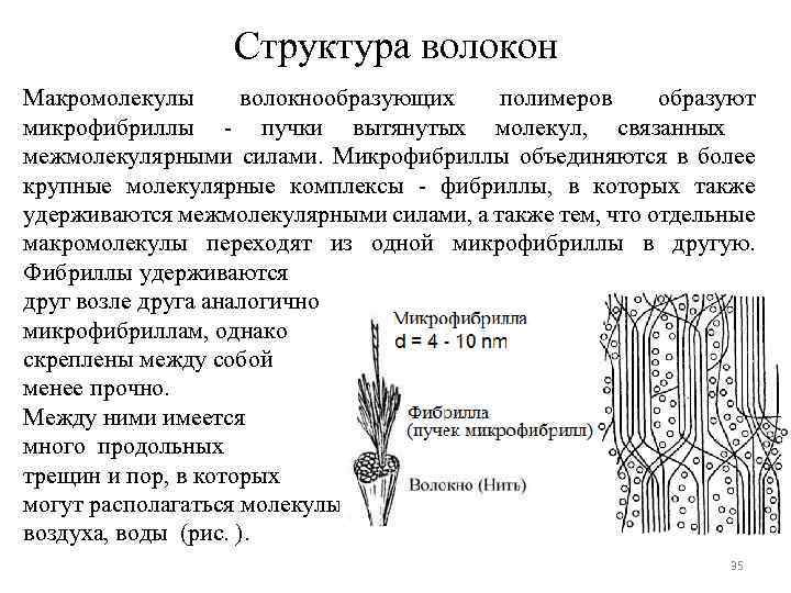 Структура волокон Макромолекулы волокнообразующих полимеров образуют микрофибриллы - пучки вытянутых молекул, связанных межмолекулярными силами.