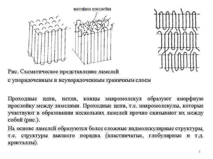 Рис. Схематическое представление ламелей с упорядоченным и неупорядоченным граничным слоем Проходные цепи, петли, концы