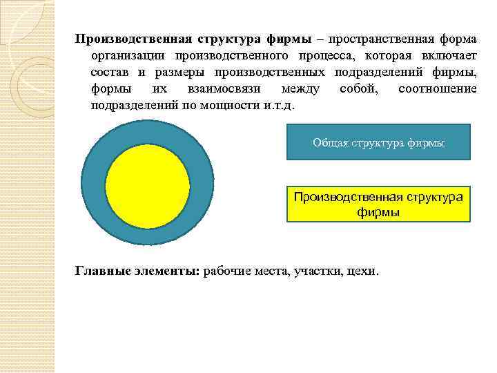 Производственная структура фирмы – пространственная форма организации производственного процесса, которая включает состав и размеры