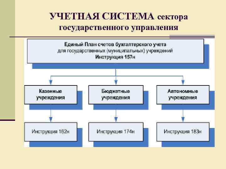  УЧЕТНАЯ СИСТЕМА сектора государственного управления 