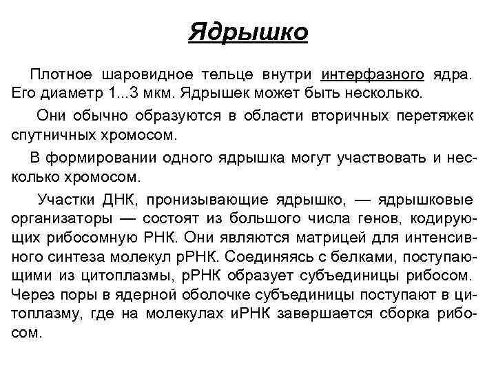 Ядрышко Плотное шаровидное тельце внутри интерфазного ядра. Его диаметр 1. . . 3 мкм.