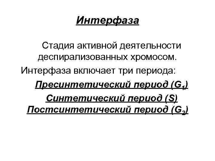 Интерфаза Стадия активной деятельности деспирализованных хромосом. Интерфаза включает три периода: Пресинтетический период (G 1)