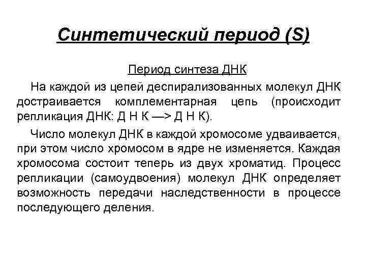 Синтетический период (S) Период синтеза ДНК На каждой из цепей деспирализованных молекул ДНК достраивается