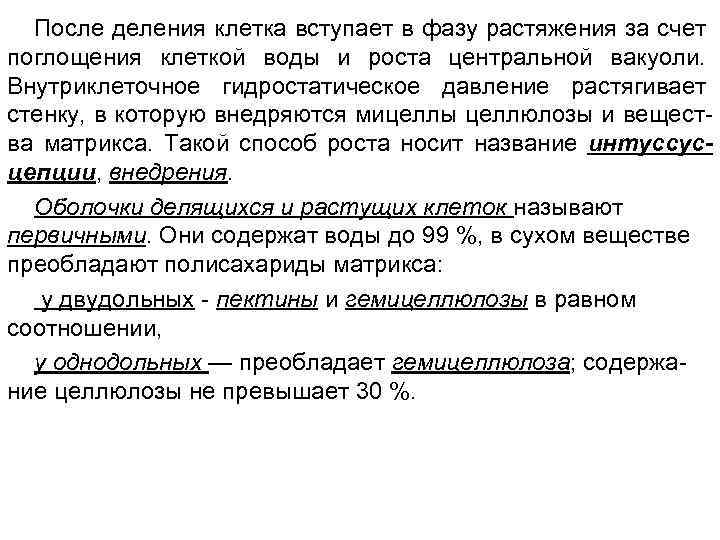 После деления клетка вступает в фазу растяжения за счет поглощения клеткой воды и роста