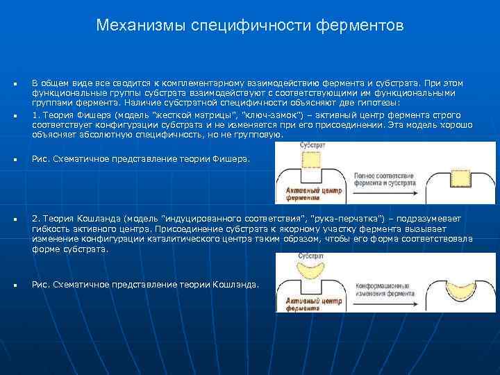 Ферменты на кристах