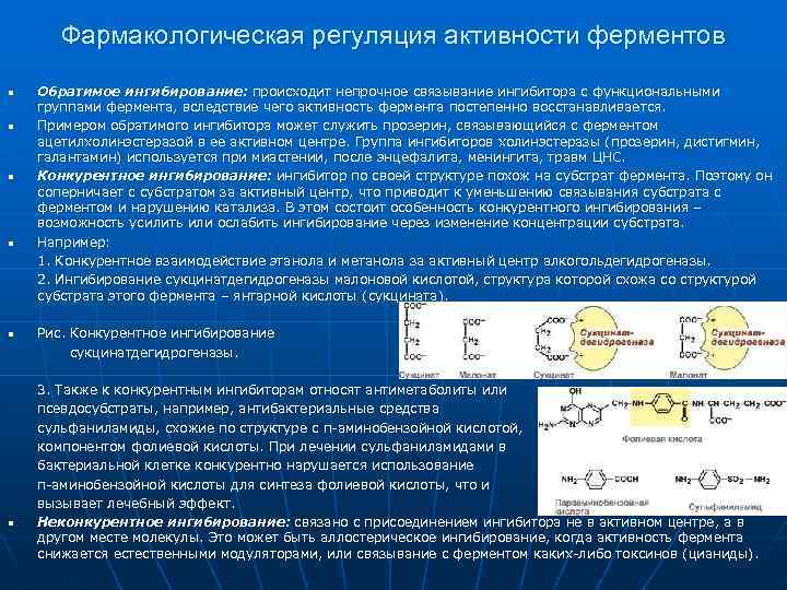 Фармакологическая регуляция активности ферментов n n n Обратимое ингибирование: происходит непрочное связывание ингибитора с
