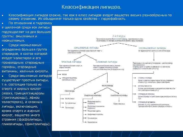 Проанализируйте таблицу классификация липидов