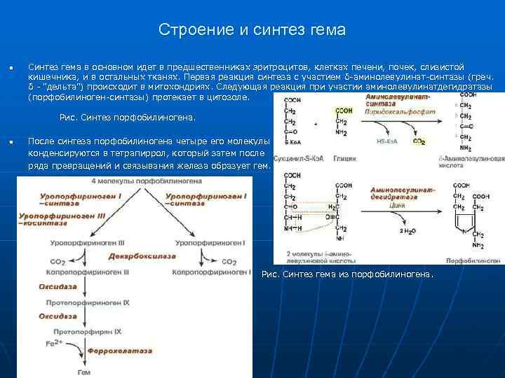 Схема синтеза гема биохимия