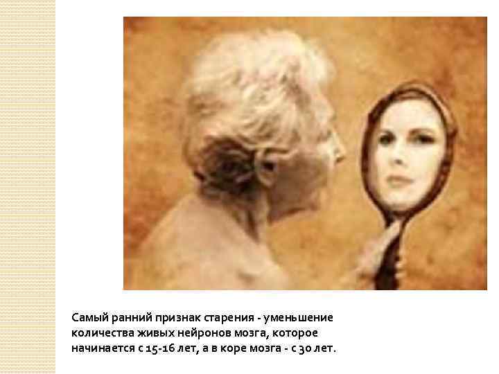 Самый ранний признак старения - уменьшение количества живых нейронов мозга, которое начинается с 15