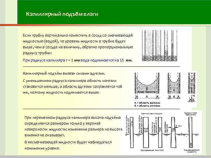 Капиллярный подъём влаги Если трубку вертикально поместить в сосуд со смачивающей жидкостью (водой), то