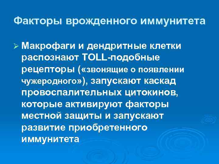 Факторы врожденного иммунитета Ø Макрофаги и дендритные клетки распознают TOLL-подобные рецепторы ( «звонящие о