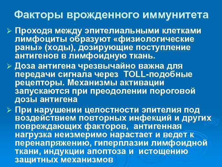 Факторы врожденного иммунитета Проходя между эпителиальными клетками лимфоциты образуют «физиологические раны» (ходы), дозирующие поступление