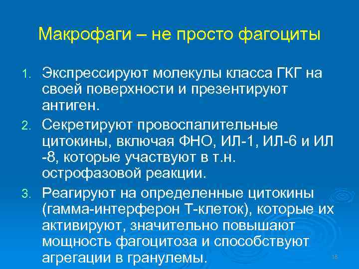 Макрофаги – не просто фагоциты Экспрессируют молекулы класса ГКГ на своей поверхности и презентируют