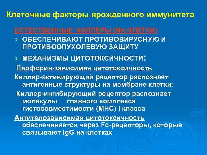 Клеточные факторы врожденного иммунитета ЕСТЕСТВЕННЫЕ КИЛЛЕРЫ (NK-КЛЕТКИ) Ø ОБЕСПЕЧИВАЮТ ПРОТИВОВИРУСНУЮ И ПРОТИВООПУХОЛЕВУЮ ЗАЩИТУ МЕХАНИЗМЫ