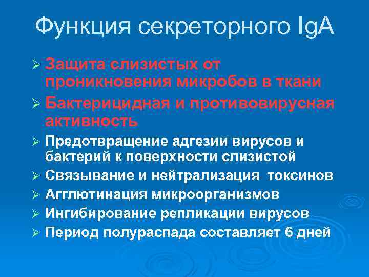 Функция секреторного Ig. A Ø Защита слизистых от проникновения микробов в ткани Ø Бактерицидная