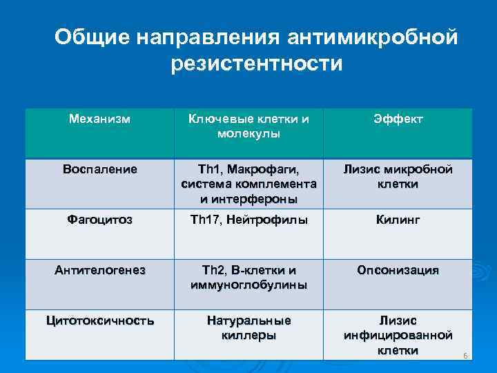 Общие направления антимикробной резистентности Механизм Ключевые клетки и молекулы Эффект Воспаление Th 1, Макрофаги,