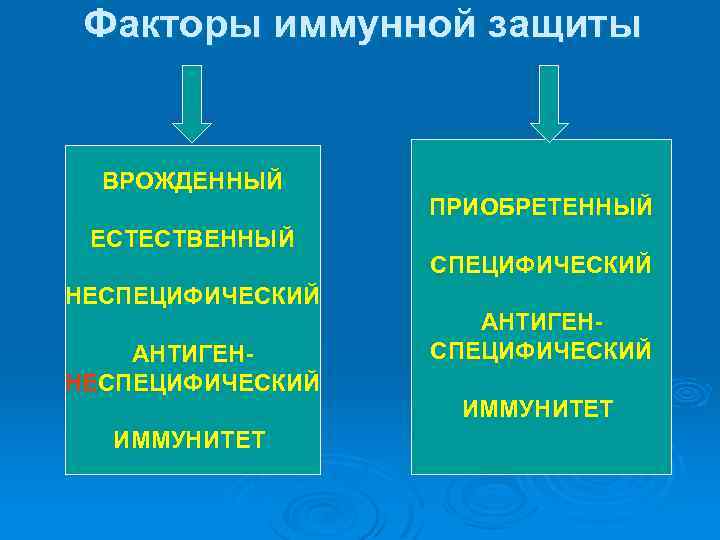 Факторы иммунной защиты ВРОЖДЕННЫЙ ЕСТЕСТВЕННЫЙ НЕСПЕЦИФИЧЕСКИЙ АНТИГЕННЕСПЕЦИФИЧЕСКИЙ ИММУНИТЕТ ПРИОБРЕТЕННЫЙ СПЕЦИФИЧЕСКИЙ АНТИГЕНСПЕЦИФИЧЕСКИЙ ИММУНИТЕТ 