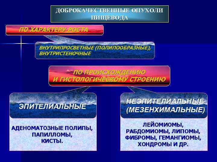 ДОБРОКАЧЕСТВЕННЫЕ ОПУХОЛИ ПИЩЕВОДА ПО ХАРАКТЕРУ РОСТА ВНУТРИПРОСВЕТНЫЕ (ПОЛИПООБРАЗНЫЕ), ВНУТРИСТЕНОЧНЫЕ ПО ПРОИСХОЖДЕНИЮ И ГИСТОЛОГИЧЕСКОМУ СТРОЕНИЮ