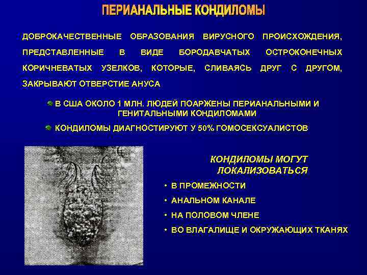 ДОБРОКАЧЕСТВЕННЫЕ ПРЕДСТАВЛЕННЫЕ КОРИЧНЕВАТЫХ В ОБРАЗОВАНИЯ ВИДЕ УЗЕЛКОВ, ВИРУСНОГО БОРОДАВЧАТЫХ КОТОРЫЕ, СЛИВАЯСЬ ПРОИСХОЖДЕНИЯ, ОСТРОКОНЕЧНЫХ ДРУГ