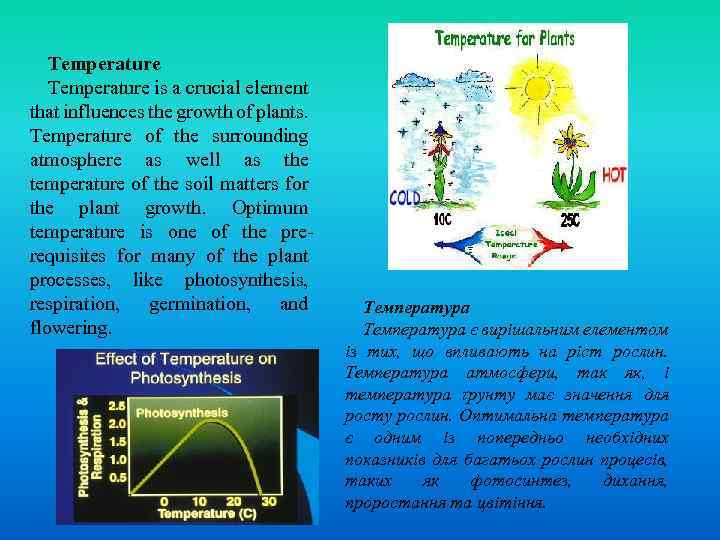 Temperature is a crucial element that influences the growth of plants. Temperature of the