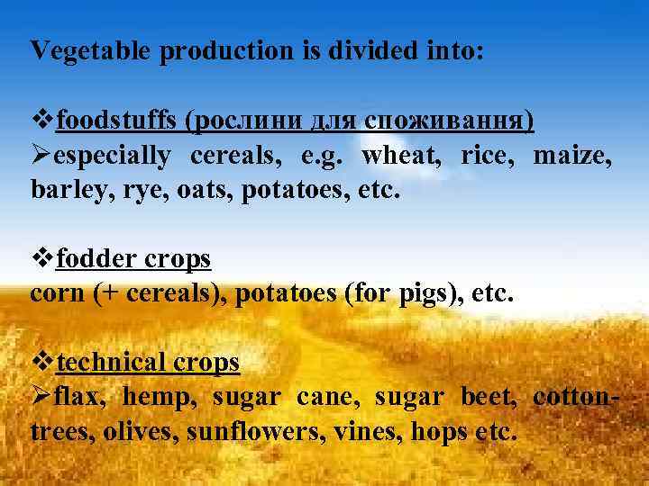 Vegetable production is divided into: vfoodstuffs (рослини для споживання) Øespecially cereals, e. g. wheat,