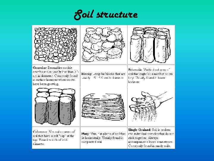 Soil structure 
