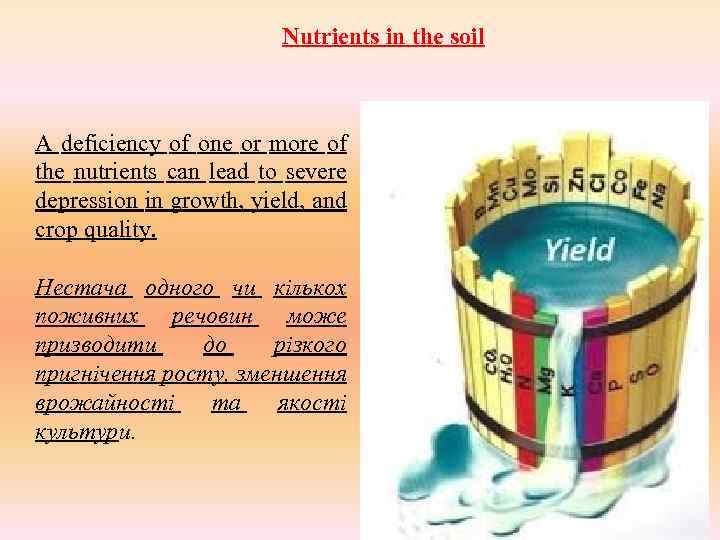 Nutrients in the soil A deficiency of one or more of the nutrients can