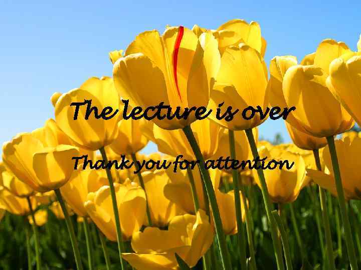 The lecture is over Thank you for attention 