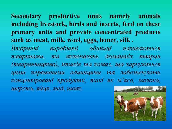 Secondary productive units namely animals including livestock, birds and insects, feed on these primary