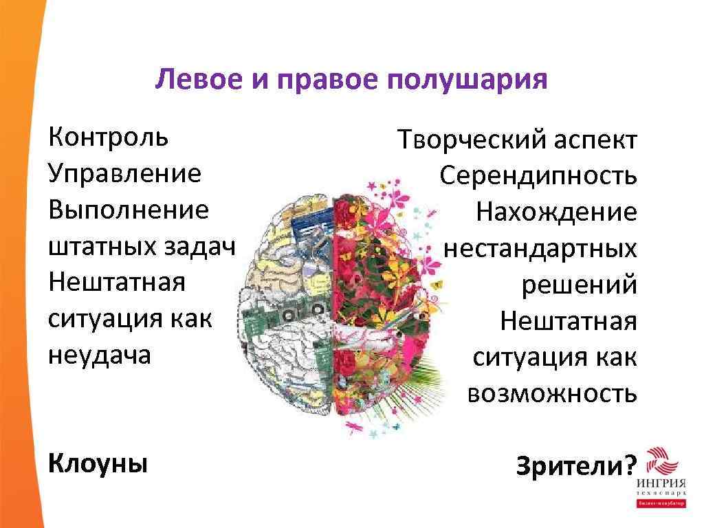 Левое и правое полушария Контроль Управление Выполнение штатных задач Нештатная ситуация как неудача Клоуны