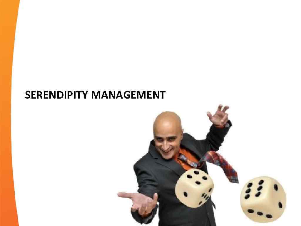 SERENDIPITY MANAGEMENT 