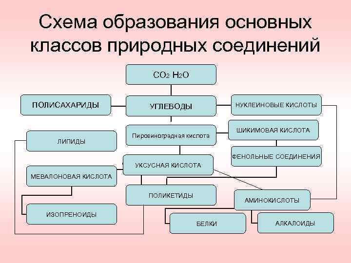 Схема образования основных классов природных соединений СО 2 Н 2 О ПОЛИСАХАРИДЫ ЛИПИДЫ НУКЛЕИНОВЫЕ