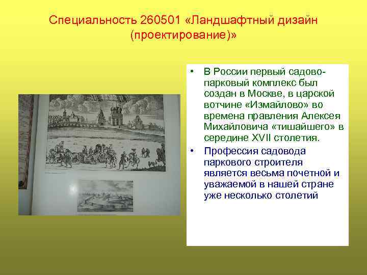 Специальность 260501 «Ландшафтный дизайн (проектирование)» • В России первый садовопарковый комплекс был создан в