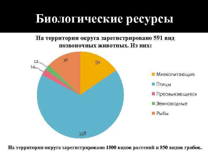 Биологические ресурсы На территории округа зарегистрировано 591 вид позвоночных животных. Из них: 12 14