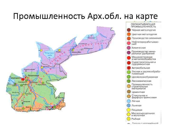 Лесные богатства архангельской области презентация 3 класс