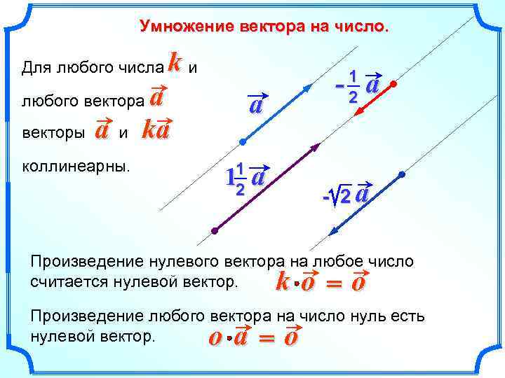 Умножение вектора на число. Для любого числа kи a ka a и коллинеарны. -