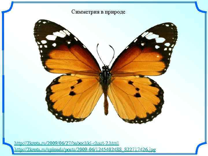 Симметрия в природе http: //2 krota. ru/2009/06/27/babochki-chast-2. html http: //2 krota. ru/uploads/posts/2009 -06/1245402488_822717426. jpg