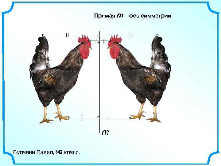 Прямая m – ось симметрии m Булавин Павел, 9 В класс. 