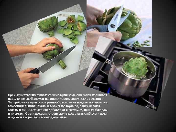 Преимущественно готовят свежие артишоки, они могут храниться неделю, но свой аромат начинают терять сразу